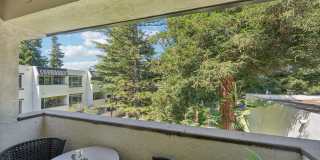 Northgate Apartments Gallery 15