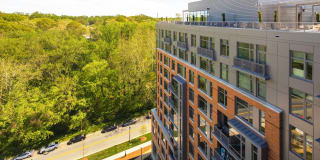 The Lindley Gallery 21