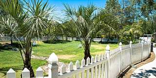 Parke Orcutt Gallery 3