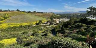 24335 Park Place Drive Gallery 71