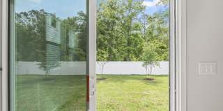 111 Brazil Nut Circle Gallery 31