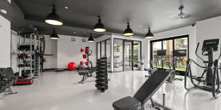 The Grace at Tyron Gallery 2