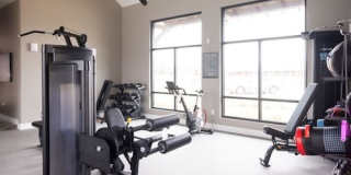 Lockhart Farms Gallery 19