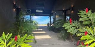 Luxury furnished pod style 3 bedroom 3.5 bathroom w/pool, outdoor showers, & spa coming soon! Luxury furnished pod style 3 bedroom 3.5 bathroom w/pool, outdoor showers, & spa coming soon! Gallery 23