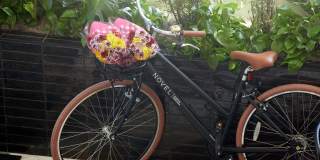 NOVEL Scotts Addition Gallery 30