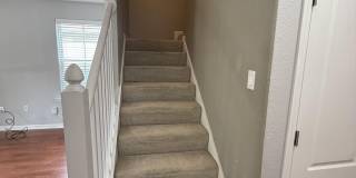 4203 Old Plantation Loop Gallery 13