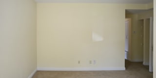 The Duke Gallery 14