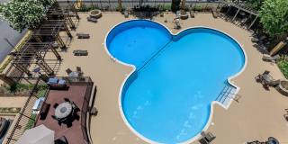 Whitestone at Landmark Gallery 4