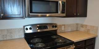 2 Bedroom, 2 Bathroom Condo Gallery 18