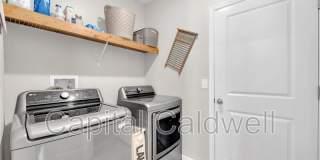 9434 Lemon Drop Loop Gallery 25