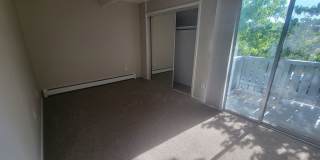Sunny, newly remodeled 3 bed + office/2.5 bath in Applewood townhomes close to NOBO! Gallery 14