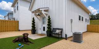 1 Bedroom home with Fenced Backyard! Gallery 6