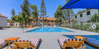 Tides on McDowell Gallery 20