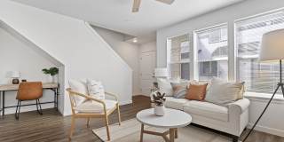 Amazon Falls Gallery 19