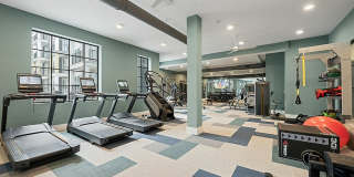 The Scottie Gallery 20