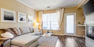 IMT Cherry Creek Gallery 14