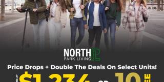 North Park Living Gallery 84