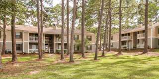 Knollwood Gallery 22