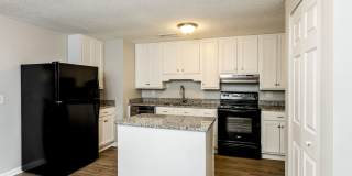 3 BR/2BA | Newly Renovated Single Family Home | 1-Car Covered Parking | Front yard! Gallery 4