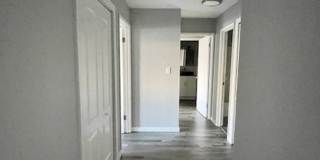 Fully Renovated Modern Apartments Gallery 31
