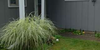 Charming Lakefront Home on Lake Skegemog – Off-Season Rental Gallery 1