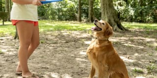 Mansions in the Park Gallery 17