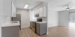 Avana Cordoba Gallery 4