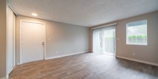 Village at Sota Gallery 5