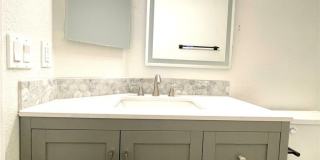 1326 Pine Terrace Court Gallery 44