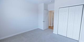 British Woods Gallery 14