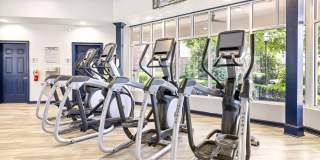 Olympus Carrington Gallery 27