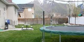 Beautiful 6 Bed 3 bath in Springville!! Gallery 32