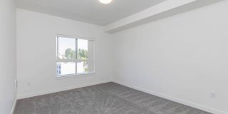 Pointe by Vintage Gallery 27