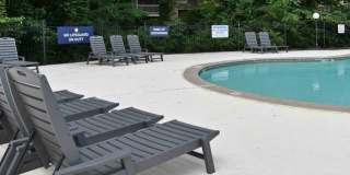 Waldan Pond Gallery 10