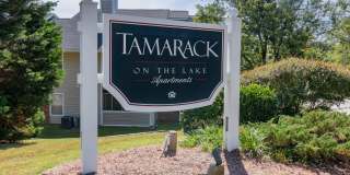 Tamarack on the Lake Gallery 19
