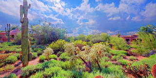 6939 E BRAMBLE BERRY Lane Gallery 35