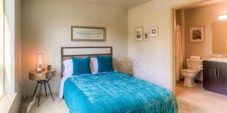 Puget Park Apartments Gallery 13