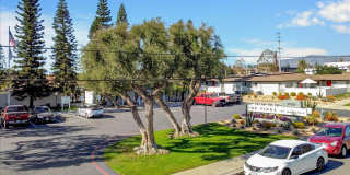 The Pines Apartments Gallery 93