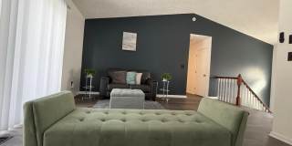 1515 BABY BAER Court Gallery 1