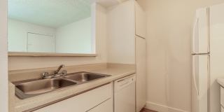 Rise Lakeside Gallery 51