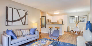 Woodland Meadow Gallery 33