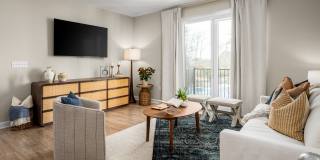 The Canopy Gallery 3