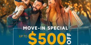 Maverick Gallery 277