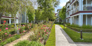 Oak View of Sonoma Hills Apartments Gallery 34
