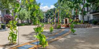 Villas at the Gardens Gallery 53