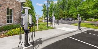 Conrad at Concord Mills Gallery 15