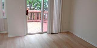 21477 RUSTY BLACKHAW Square 21477 RUSTY BLACKHAW Square Gallery 12