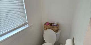 PRELEASE: Spacious 6+ bdrm/2 bath in York Neighborhood Gallery 29