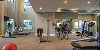 The Lincoln Scottsdale Gallery 42