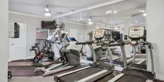 Carrara at Cole Gallery 22